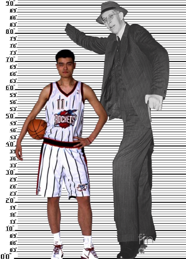 Yao Ming Height And Shoe Size - Yao Ming Height – Just How Tall Is the NBA Giant?