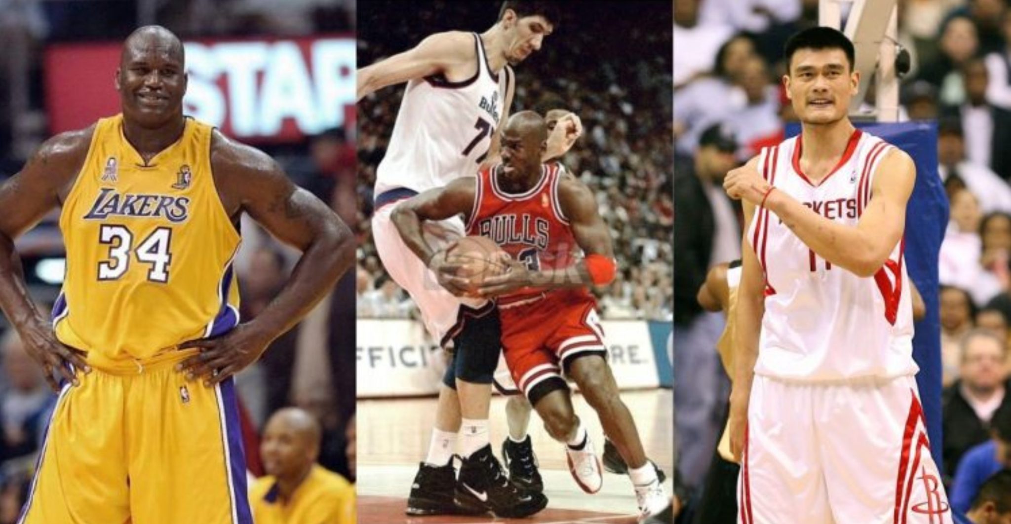 Yao Ming Height – Just How Tall Is the NBA Giant?